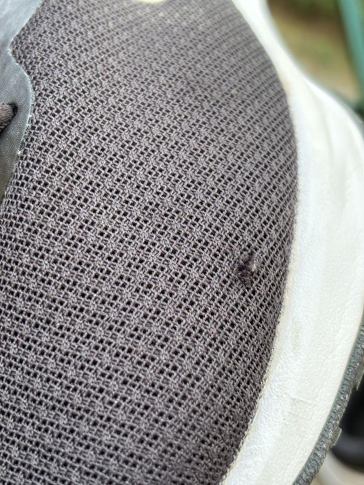 NIKE Обувки revolution 6 NN