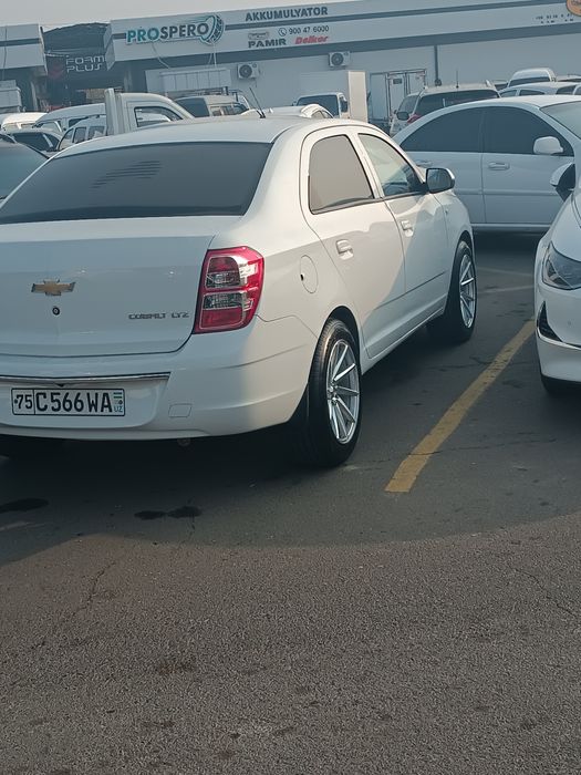 Vossen 17 diska balon