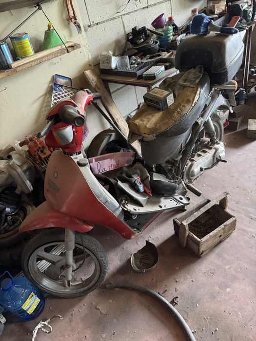 Vand piaggio free