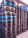 Paleți din plastic diverse dimensiuni