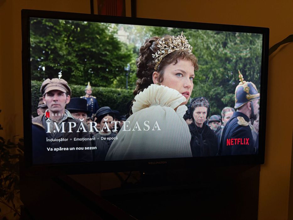 Televizor Wellington WL24HD279, 60 cm, HD, LED, Clasa F