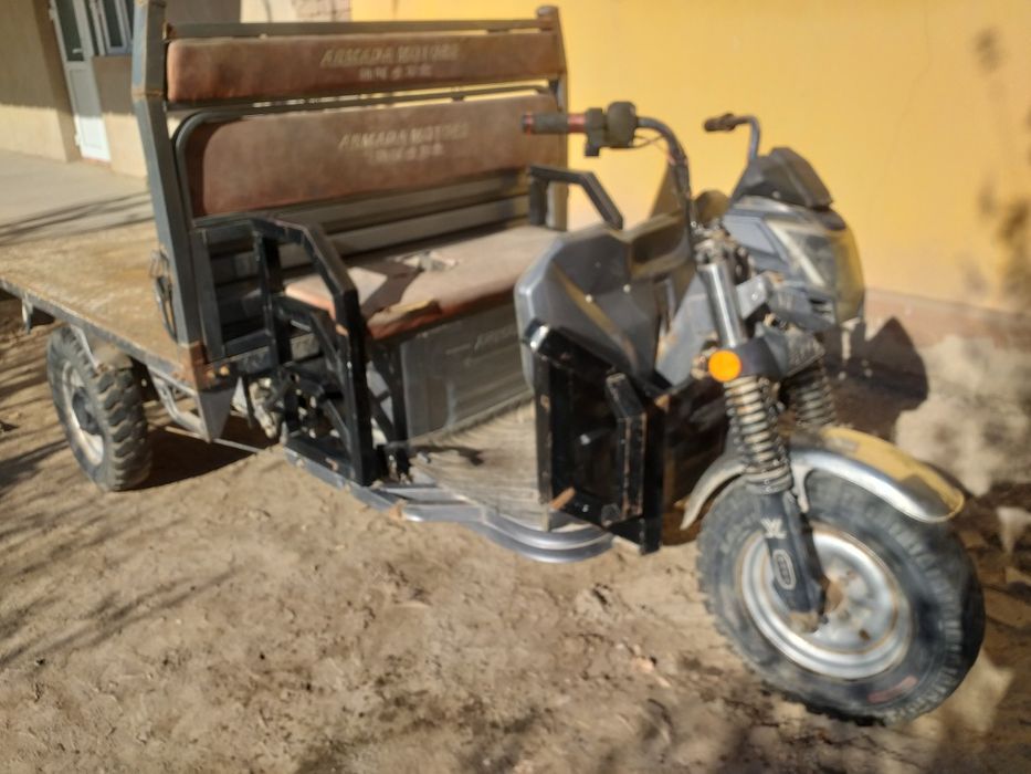 Elektra muravey Armada motrs