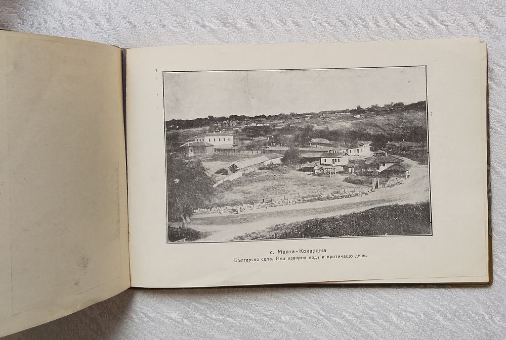 Дали - Ормана в картини. Фотографически снимки