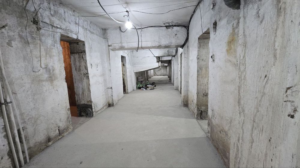 Помещение в центре города под зоогостиницу, хостел, игровой клуб