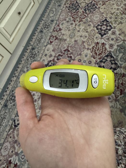 Термометр AGU dino