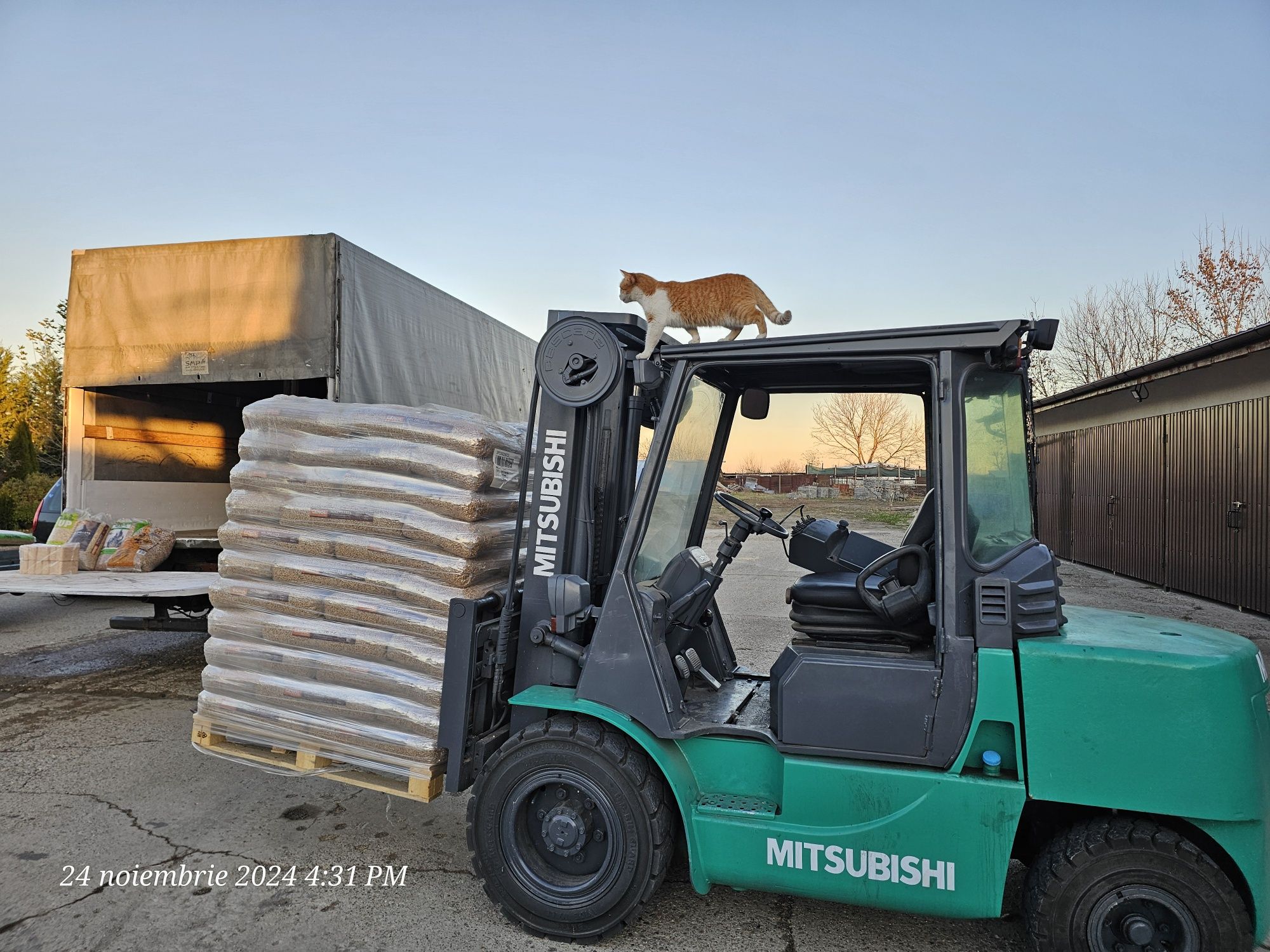 Peleti Pell up/ HS Timber/  Barlinek/Lemne paletizate/ Brichete ruf
