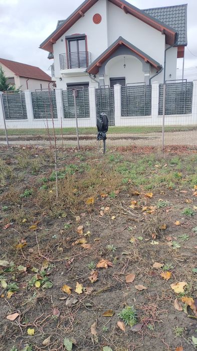 Vânzare teren intravilan Onasis