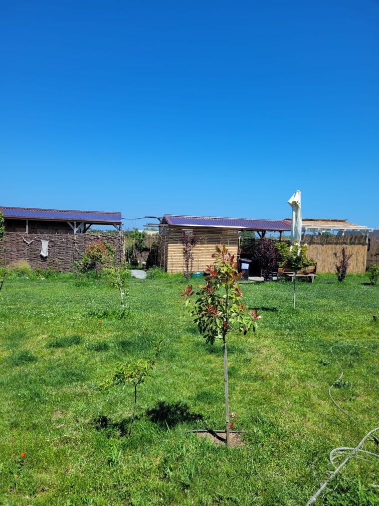 Camping Vama Veche
