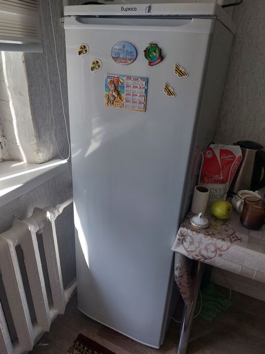 Холодильник Бирюса