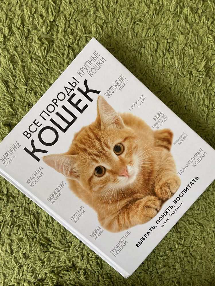 книга все породы кошек