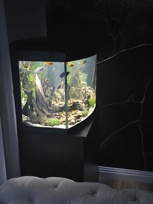 Vand urgent  Acvariu Cayman 120 L