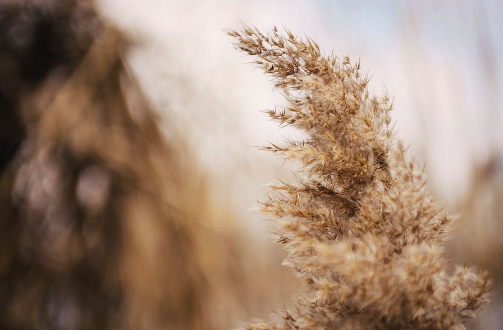 Nikon AF 35-70mm f/2.8D Nikkor обектив Никон #4/4