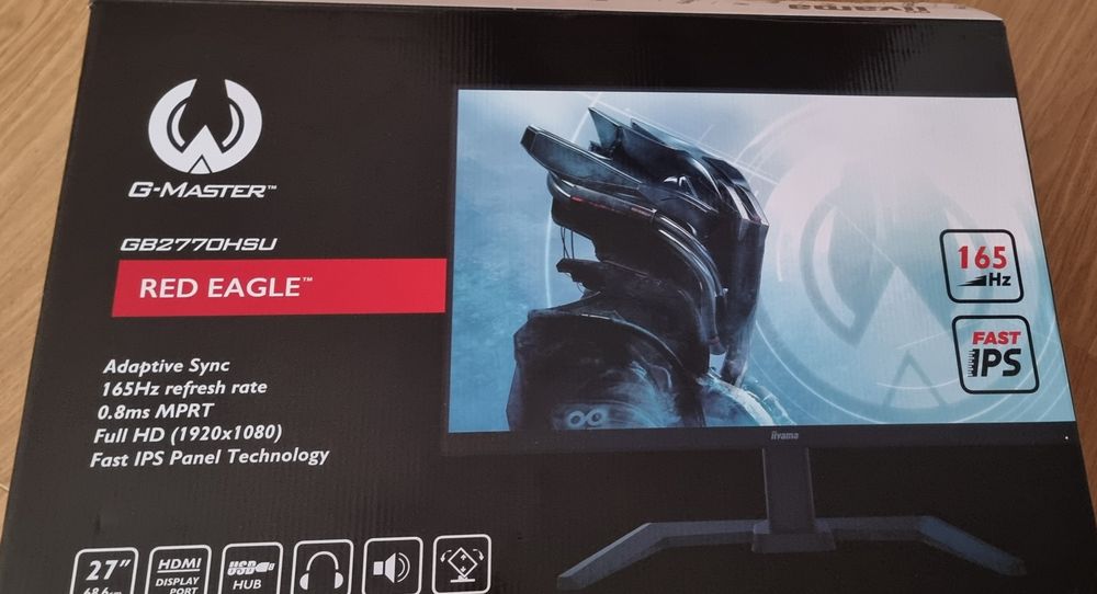 Monitor iiyama 165hz