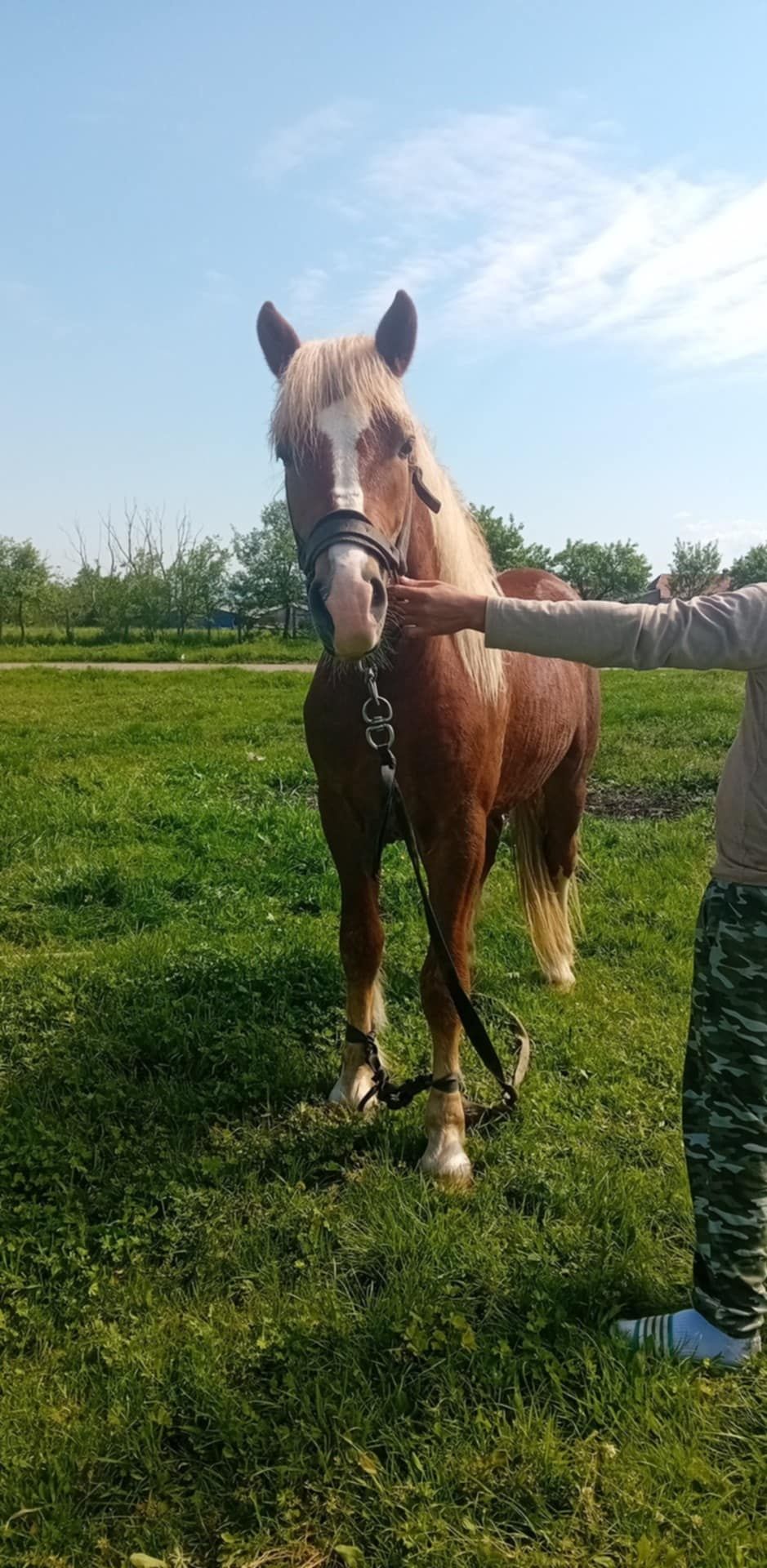 Mînz de un an si şase luni