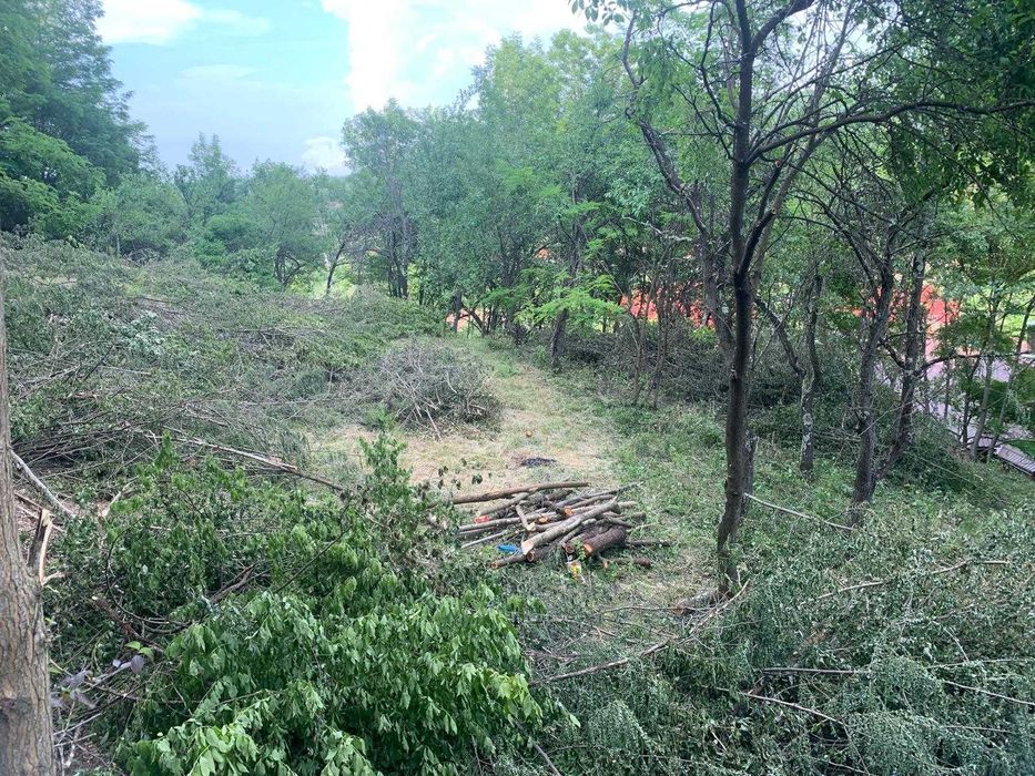 Vand casa 70mp, teren intravilan+extravilan 1000+1900mp, Micesti, Cluj