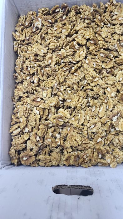 Miez Nuca noua recolta 2025,diverse sortimente