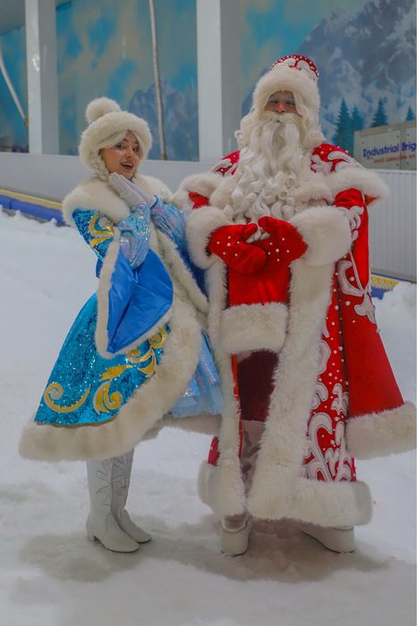 Сказочные новогодние аниматоры