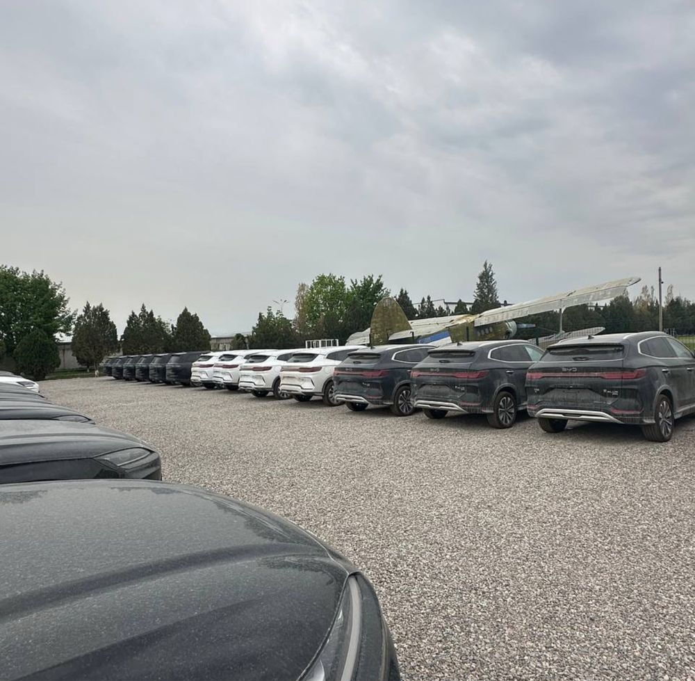 Byd chempion 2025 eng full (notarius)