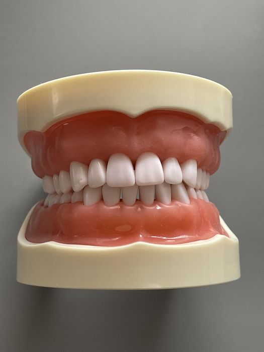 Model dentar nou cu dinti de schimb