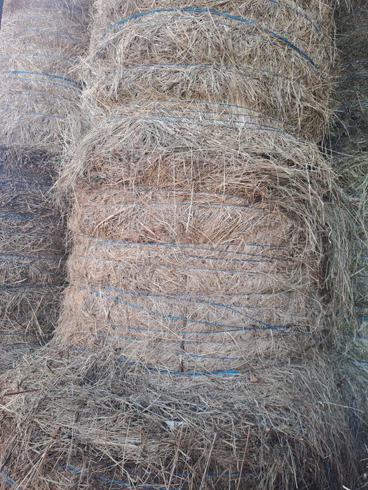 Baloti de fan ,coceni si paie