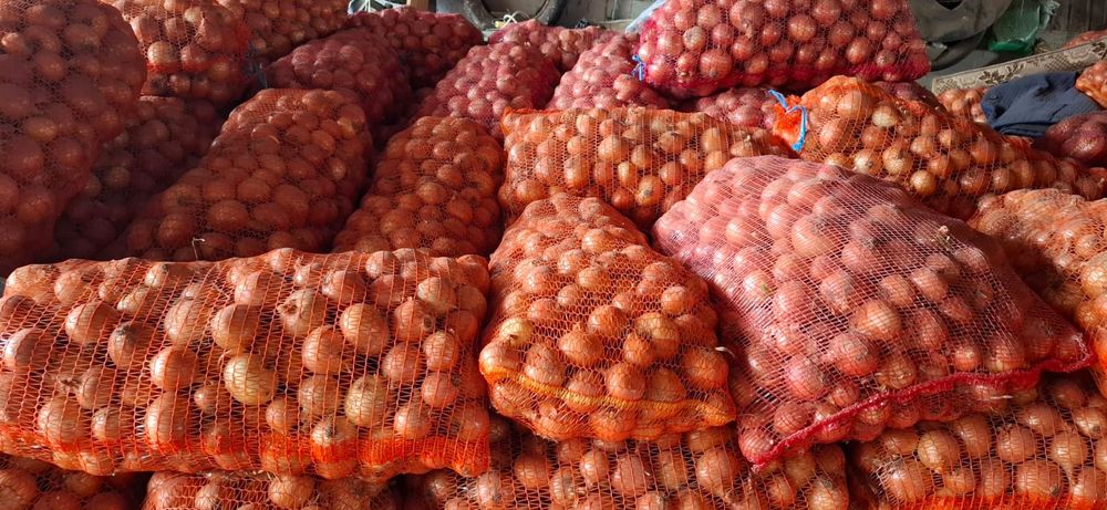 Varza si Ceapa angro!