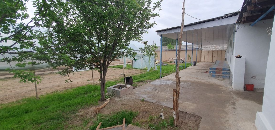 Yangiyol tumani Qoratepa maxallasida 11 sotix xovli+ferma sotiladi