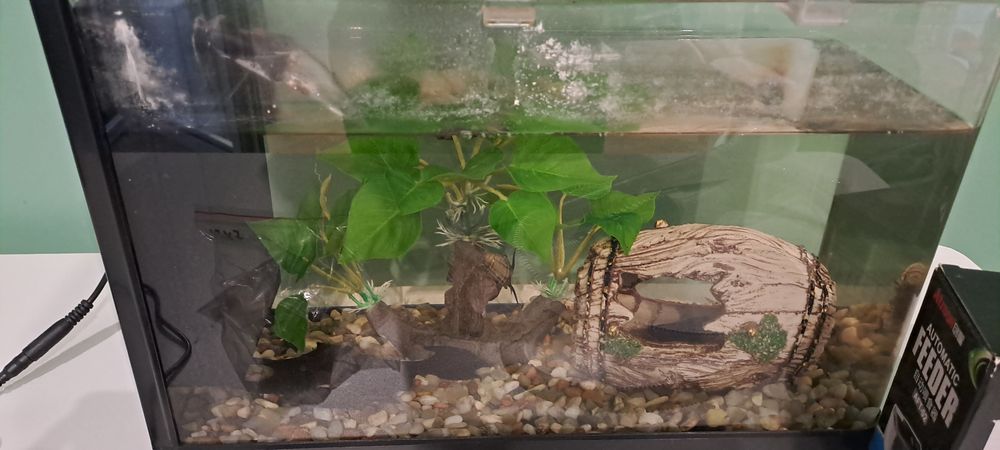 Срочно продаю аквариум