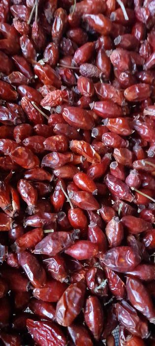 Плод Суха Шипка реколта 2025