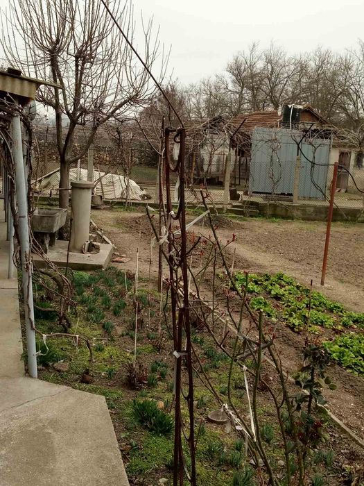 Продава се Къща в с. Долни Луковит, Област Плевен - 900 кв.м за 32 €/кв.м - Снимка #8