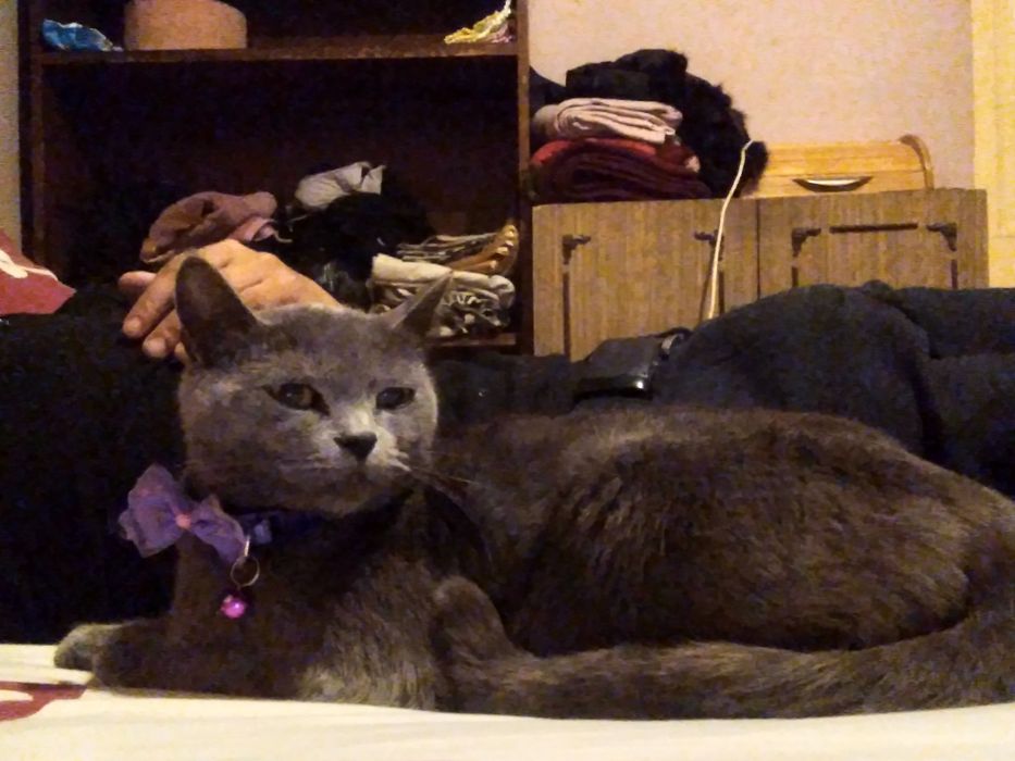 Зотли мушукчала  она бола кизла