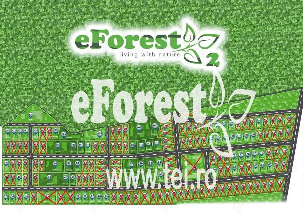 Loturi de teren în eForest, după Buftea, cu acces direct la DN1A