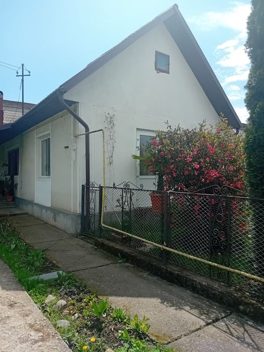 Închiriez casa in Tg,Lăpuș