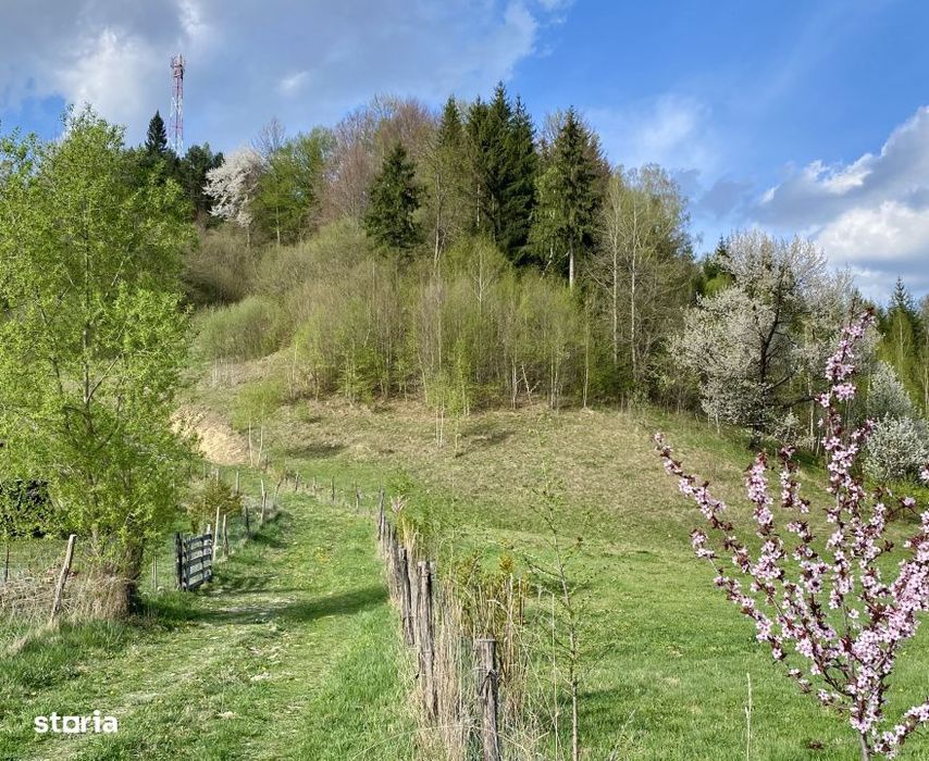 Teren panoramic insorit, utilitati, panta mica si padure, turism sau v
