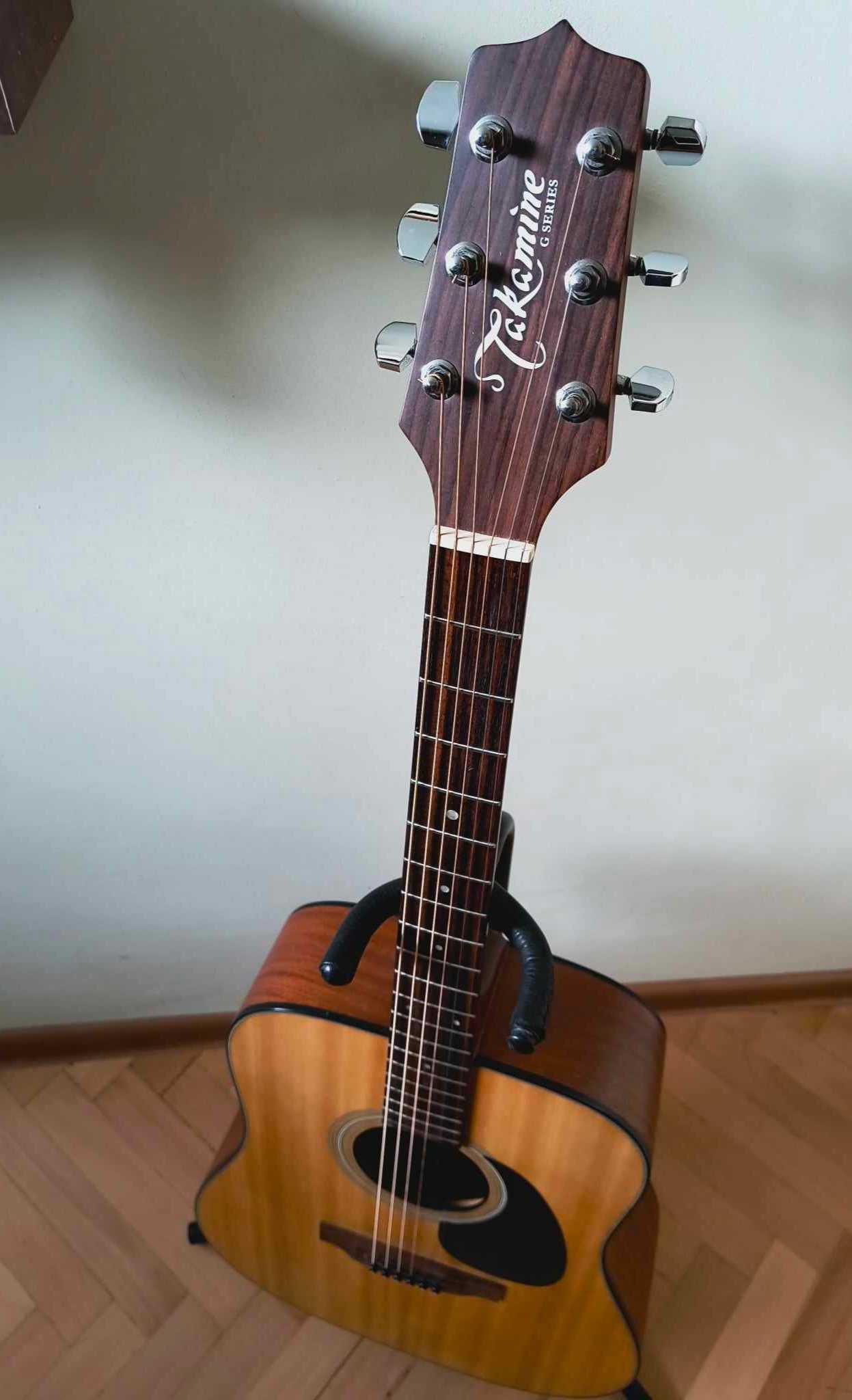 Takamine ел. акустична G series