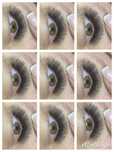 gene fir cu fir 1-4 d