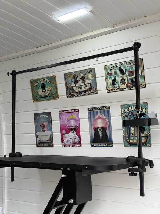 Frizerie canină si felină la domiciliu tau