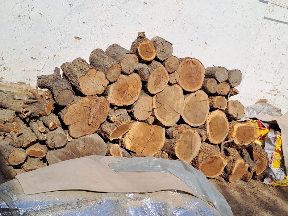 O'tin mevali quruq Dastafka bor