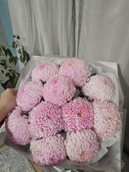 Цветы красивые свежие