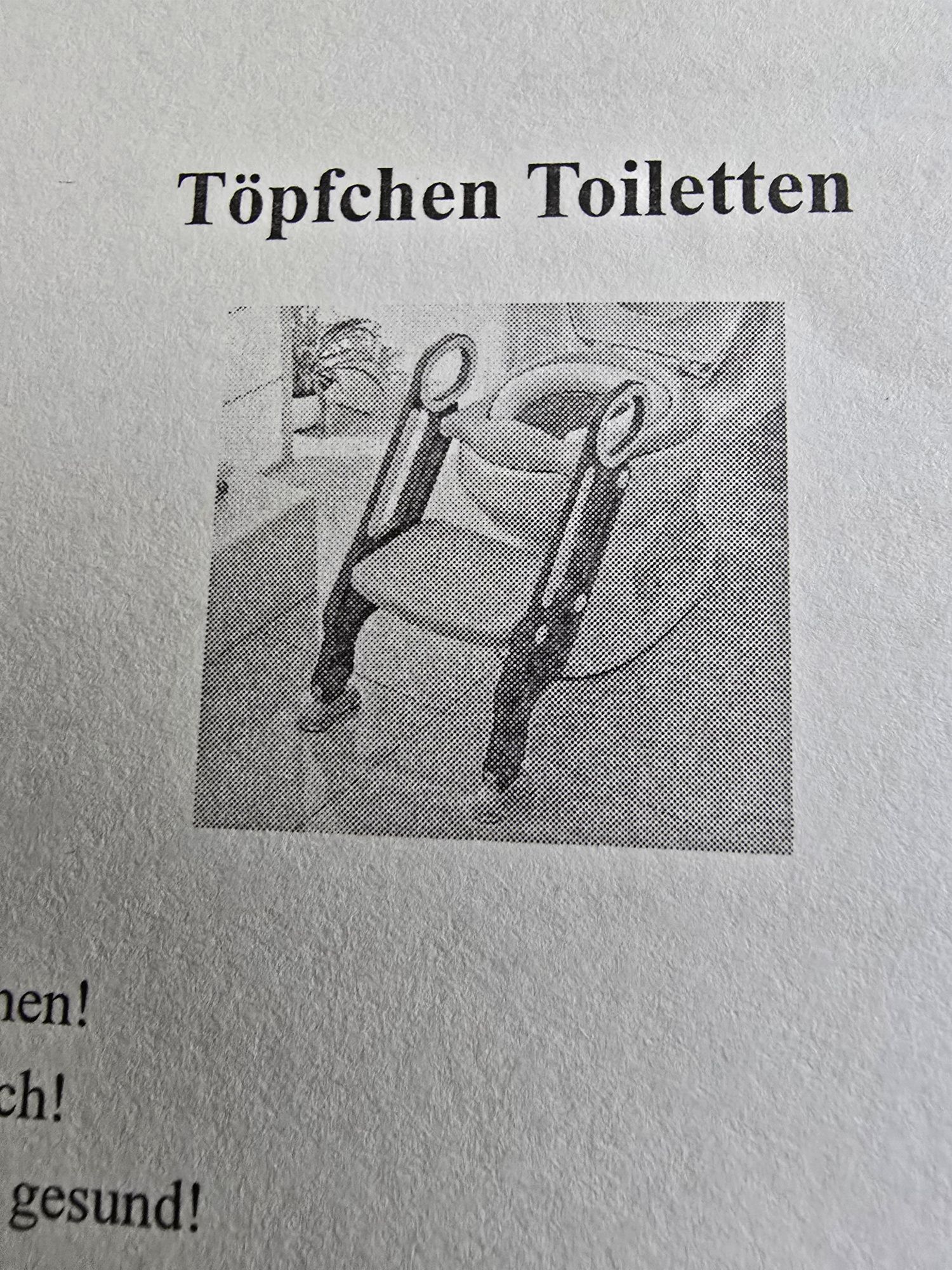scaun wc pentru copii