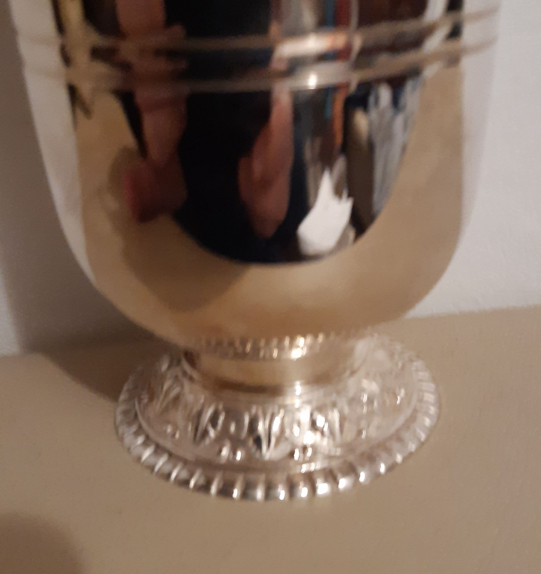 Cupa din anul 1994 .