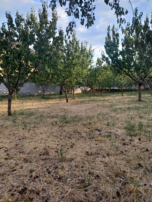 Teren intravilan de vânzare.