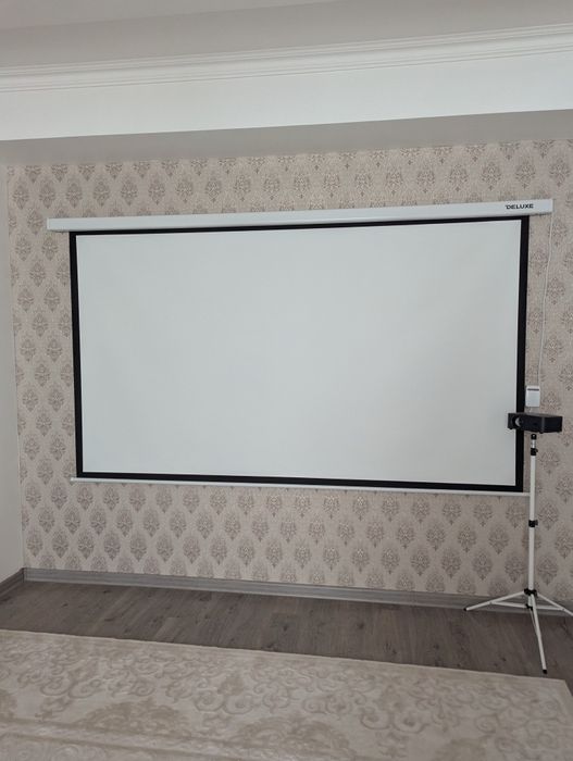 Проектор и проекционный экран