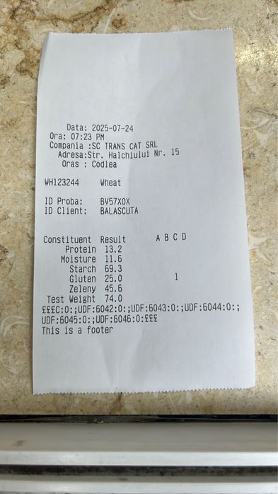 Grau toamna de samanta C2