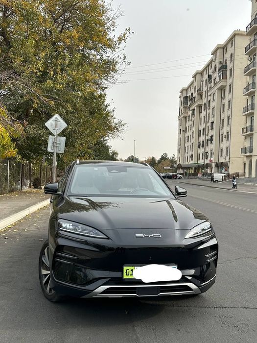 BYD chempion honr 2024