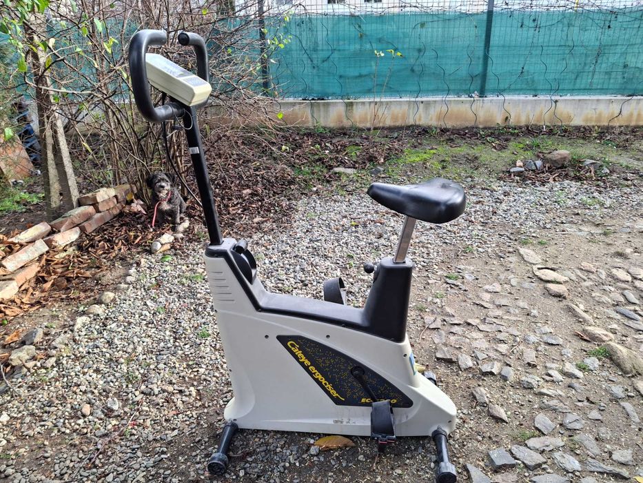 Bicicleta ergonomica