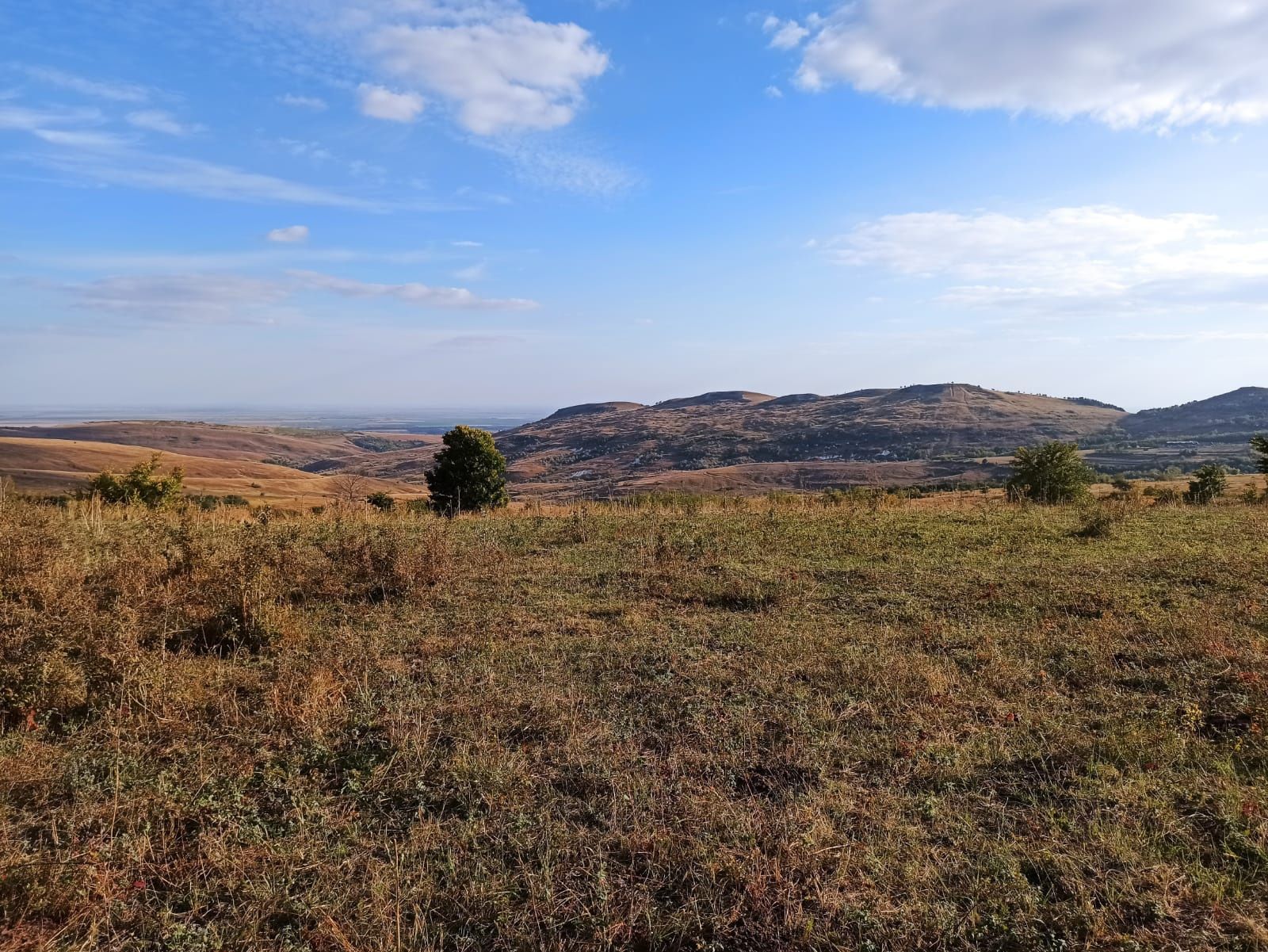 Teren extravilan