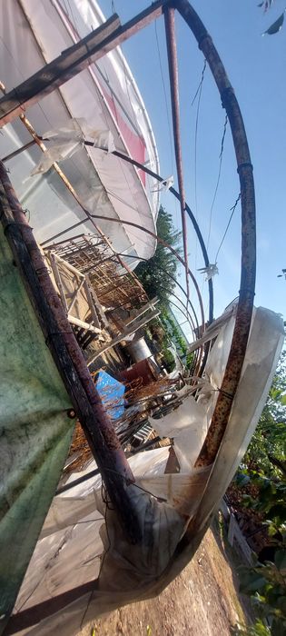 Solar Verde

Eden Verde

Grădina Soarelui

Legume Fresh

Colțul Verde