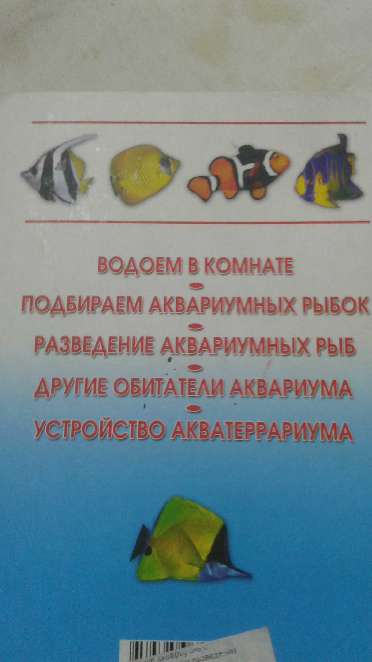 Разводим рыбок. Популярные Аквариумные рыбки. Содержание и разведение.