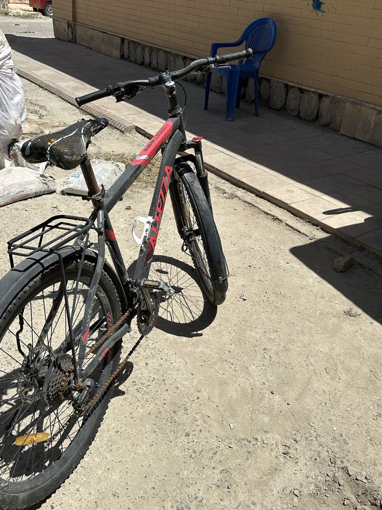 Velosepid altezza