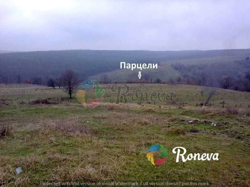 Парцели в с.Приселци за жилищно строителство